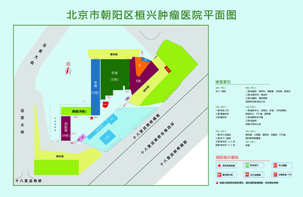 操逼吃大鸡吧北京市朝阳区桓兴肿瘤医院平面图